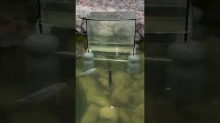 Physics And Water / Физика И Вода