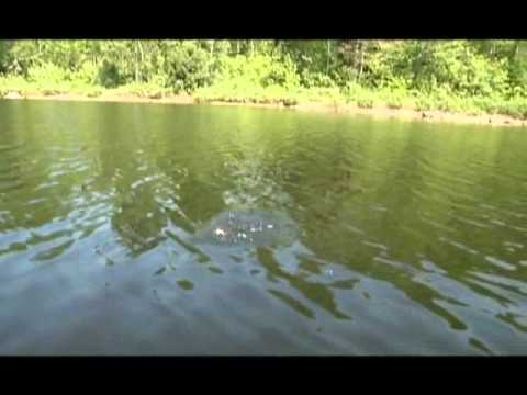 La pêche russe la version 2 télécharger sur le téléphone