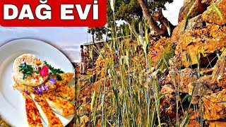 Dağ Evi̇nde Bugdaylar Başak Çikarmişdağ Evi̇nde Dağ Spesyali Yeni̇ Dağ Evi̇mi̇ze Başladik