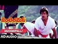 Mudinepalli Full Song || Gentleman Songs || Arjun, Madhubala, A.R. Rahman || Telugu Songs