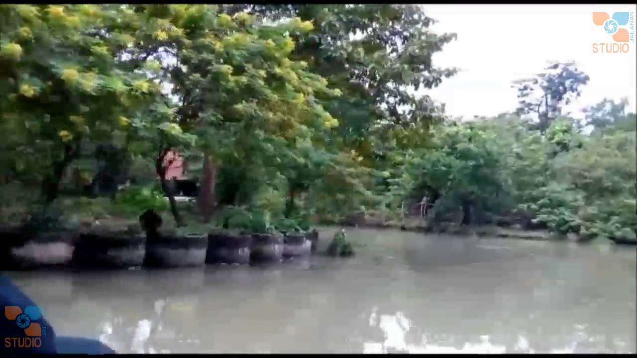 video kebun binatang surabaya video kebun binatang surabaya