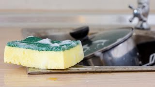 The Best Way to Clean Your Grimey Sponge