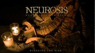 Watch Neurosis Bleeding The Pigs video