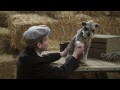 Online Movie 12 Dogs of Christmas: Great Puppy Rescue (2012) Online Movie