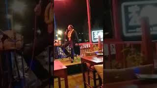 Elvis Fandango sings Everybodys talkin at me