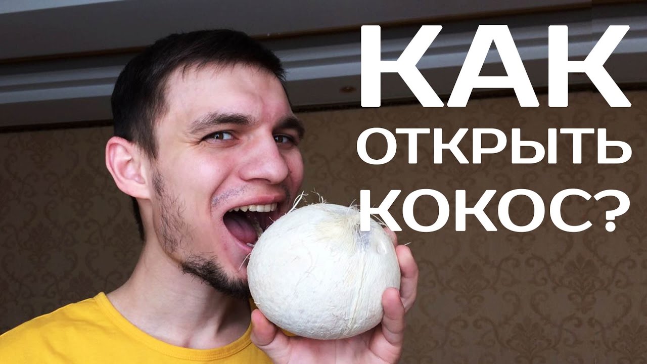 Как расколоть кокос в домашних условиях: инструкция 58 Как расколоть кокос в домашних условиях: инструкция 31