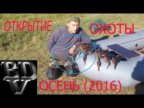 Когда открытие охоты на утку 2018 в тульской области Когда открытие охоты на утку 2018 в тульской области
