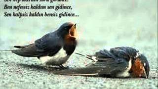 Bəs, Nə Deyim? Özün Getdin Intizarın Qaldı Yar