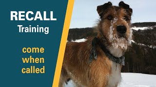 Recall Training | Teach a dog to come when called | Full obedience tutorial with SIT PRESENT