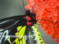 Western Ghats Flora And Fauna | RM. Western Ghats Flora And Fauna | RM.