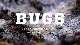 BUGS the film – Will eating insects save our Earth? – official trailer #Tribeca2016