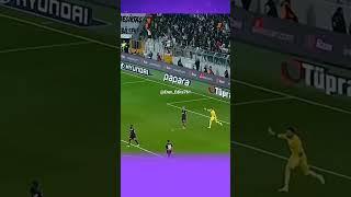 yumUgEMuiSw Video Image