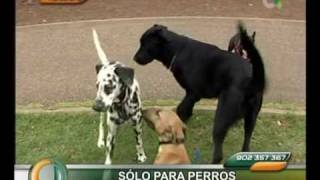 GUARDERIA CANINA DON PERRO guarderia canina don perro: