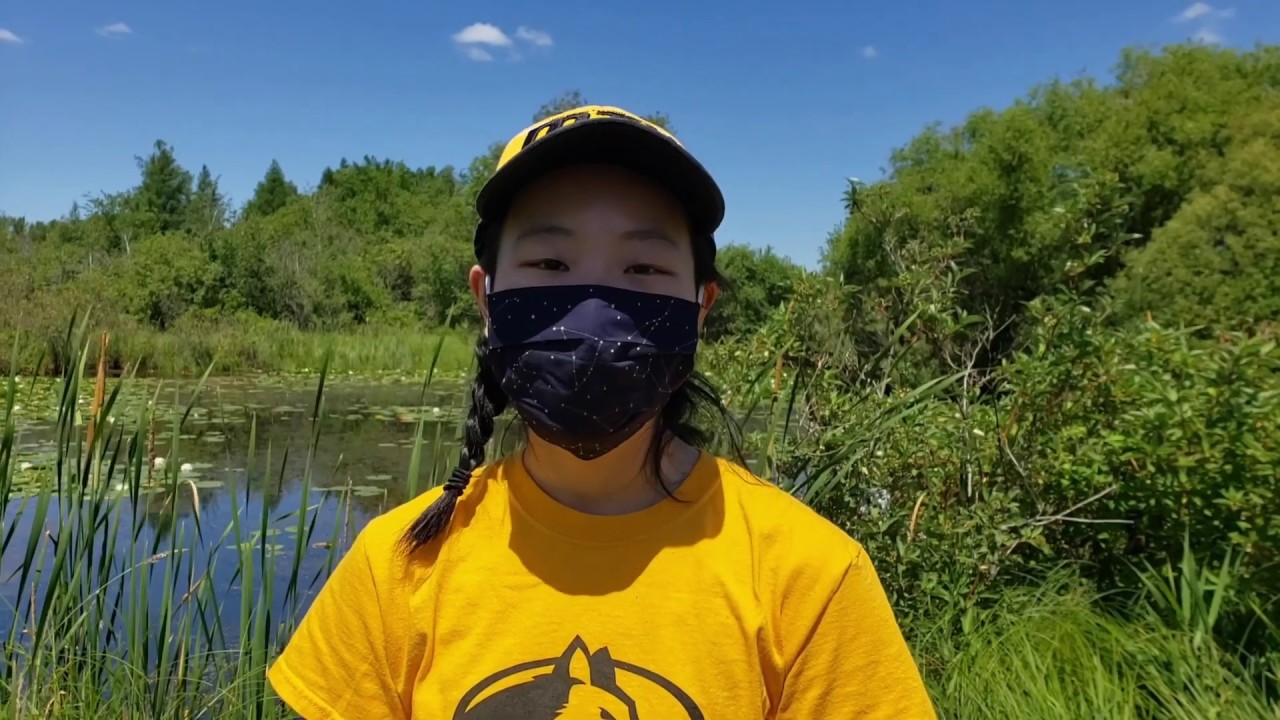 Preview image for Huskies Mask Up for Our Community video