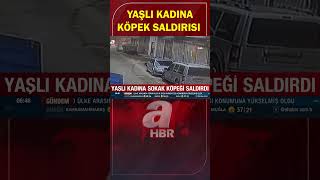 Canını Zor Kurtardı Yolda Yürüyen Yaşlı Kadına Köpek Saldırısı A Haber