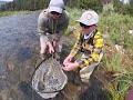 Rocky Mountain Fly Fishing Adventure -Part 2 - Yellowstone National Park and Madison River