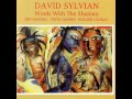David Sylvian - Words With The Shaman - Part 3 - Awakening (Songs From The Tree Tops)
