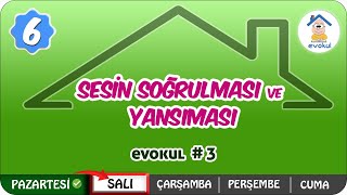 Sesin Soğrulması ve Yansıması | 6. Sınıf #uzaktanegitim #evokul Kampı