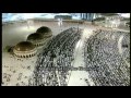 taraweeh