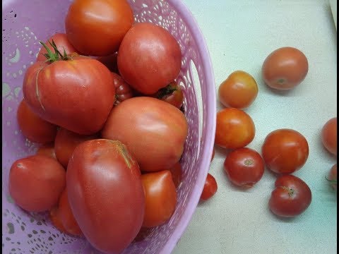 Поделка своими руками с сюрпризом 51