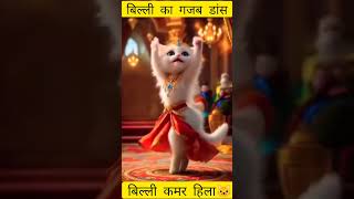 Billi Bhilai Wala Bhilai Cartoon Billi Wala Cartoon Bhilai Wala Video Bhilai Wala Cartoon