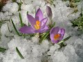 February
