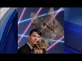 ‘Laser cat’ high school senior commits suicide : BREAKING NEWS