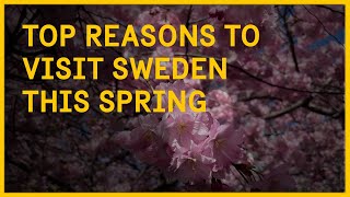 Top reasons to visit Sweden this spring!