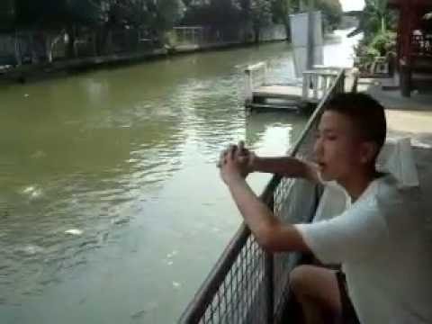 TPMV2-2554-ไม่มีใครแทนที่เธอ-เต๊ะ ศตวรรษ thumb