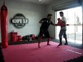 Basic Combat Techniques: Right Cross - Left Hook - Right Round House Kick