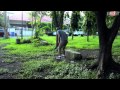image Pinky Swear Short Film By Jamich