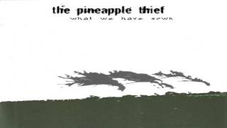 Watch Pineapple Thief All You Need To Know video