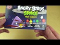 birds