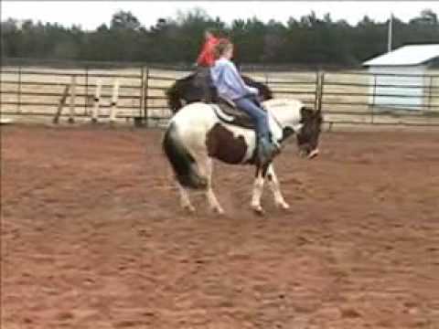 SNOOPY - SOLD. SNOOPY - SOLD. 7:42. 8 Yr Old Tobiano Gelding.