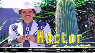 Héctor Montemayor 15 Éxitos Perrones👊