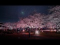 2015年龍野城ライトアップ 4K撮影