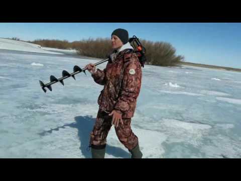 пародия грибы про рыбаков пародия грибы про рыбаков