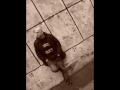 Lento Abbandono Video preview