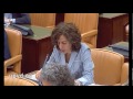 Irene Lozano: "Hay que mejorar la seguridad de los cooperantes" 11/06/2013