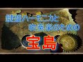 宝島 -鍵盤ハーモニカ+吹奏楽-