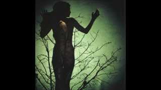Watch Atlas Moth Holes In The Desert video