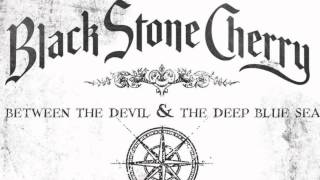Watch Black Stone Cherry Killing Floor video