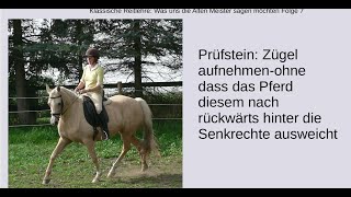 Klassische Reitlehre: Was uns die Alten Meister sagen möchten Folge 7- Das Nachgeben im Genick