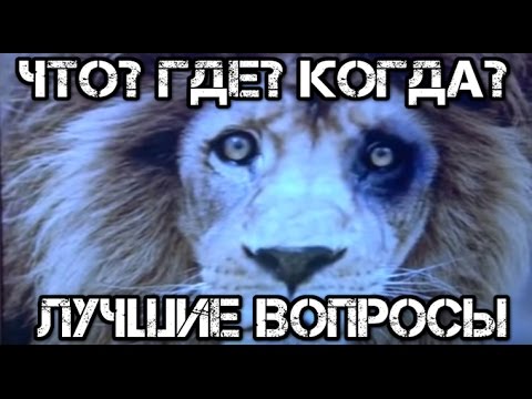 Логические вопросы для игры что где когда Логические вопросы для игры что где когда