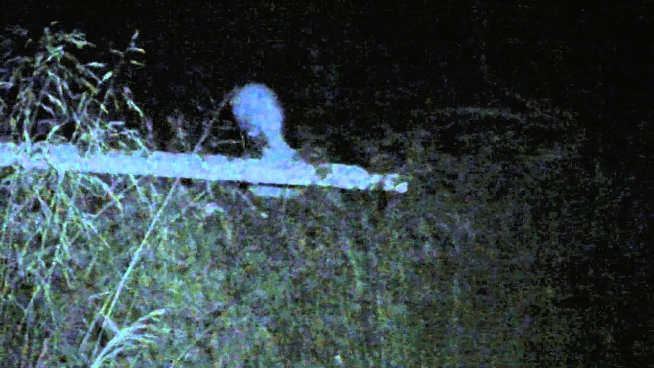 Mystical and Paranormal