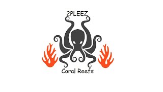 New Synergy Reef Cl-34 Custom Sump