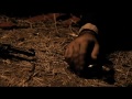 Film watch Caracremada (2010) Online Film Caracremada (2010) View