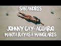 TOUR of JOHNNY CAY, Aquarium, Manta Rays & Mangrove | COGI varias MANTARRAYAS 🐠