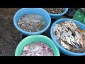 Sea food for today meal,Phnom Penh,Cambodia,2014