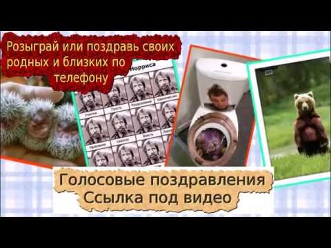 Голосовые и видео поздравления Голосовые и видео поздравления